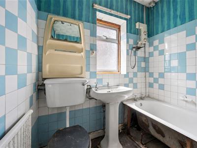 Picture 7